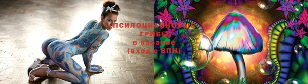трава Михайловск