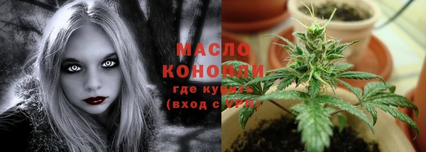 прущие грибы Медногорск