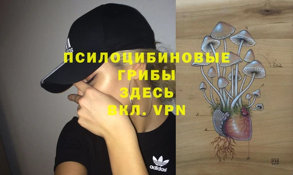 трава Михайловск