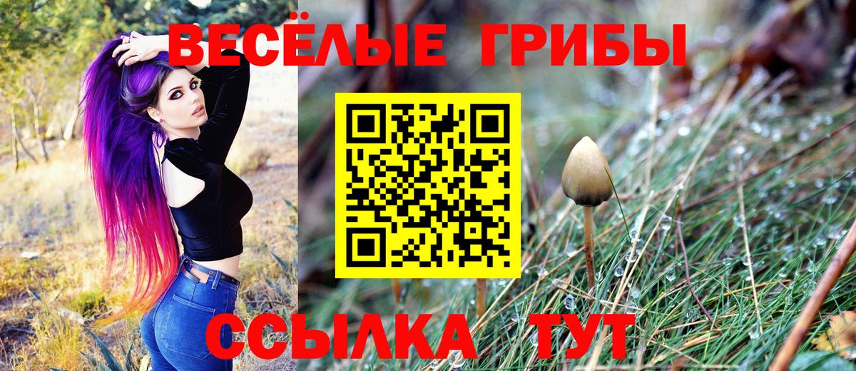 Галлюциногенные грибы мухоморы  Вход с VPN  Армавир 