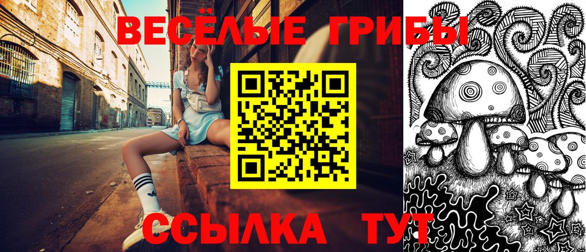 Галлюциногенные грибы MAGIC MUSHROOMS  где можно купить   Армавир 